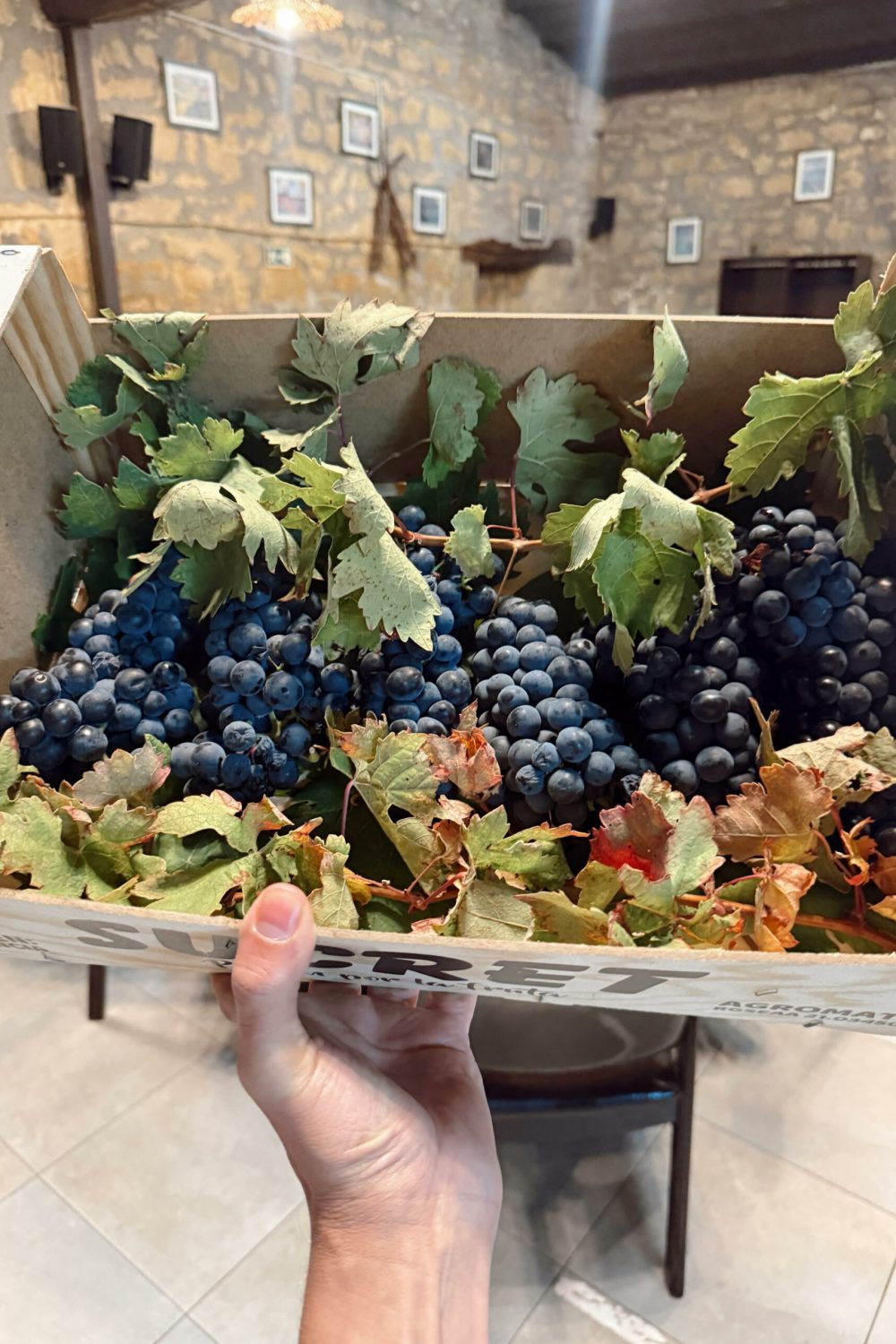 imagen de una caja con uvas